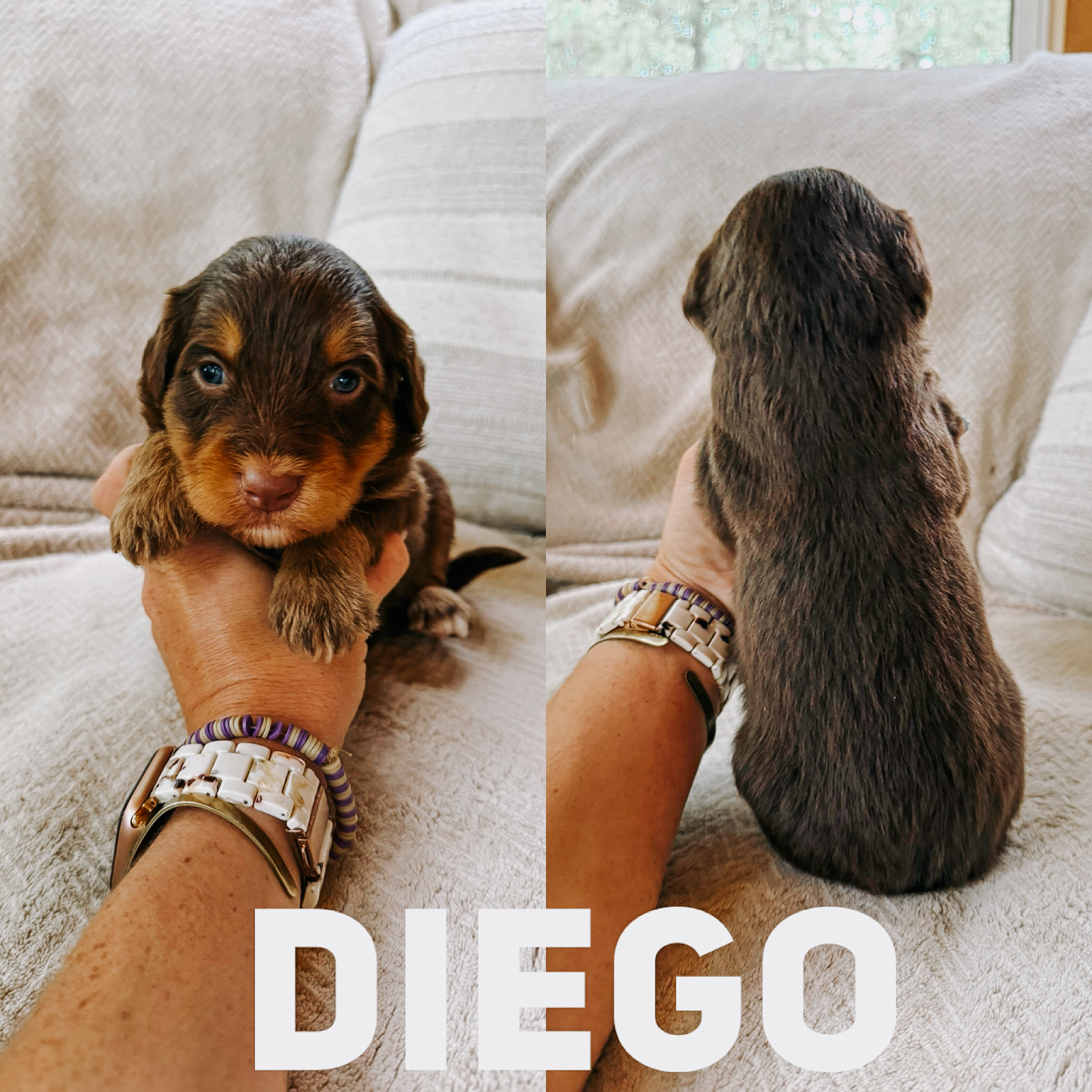 Diego  2